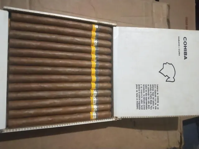 Cohiba Lanceros