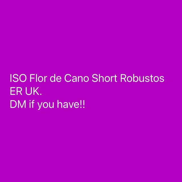 Wanted: La Flor de Cano Short Robustos ER UK