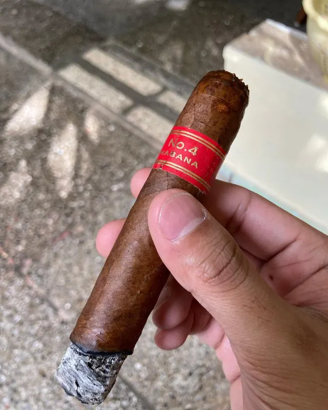 Partagás Serie D No. 4
