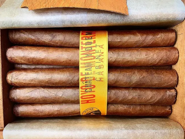 Hoyo de Monterrey Château Yquem, 1960s